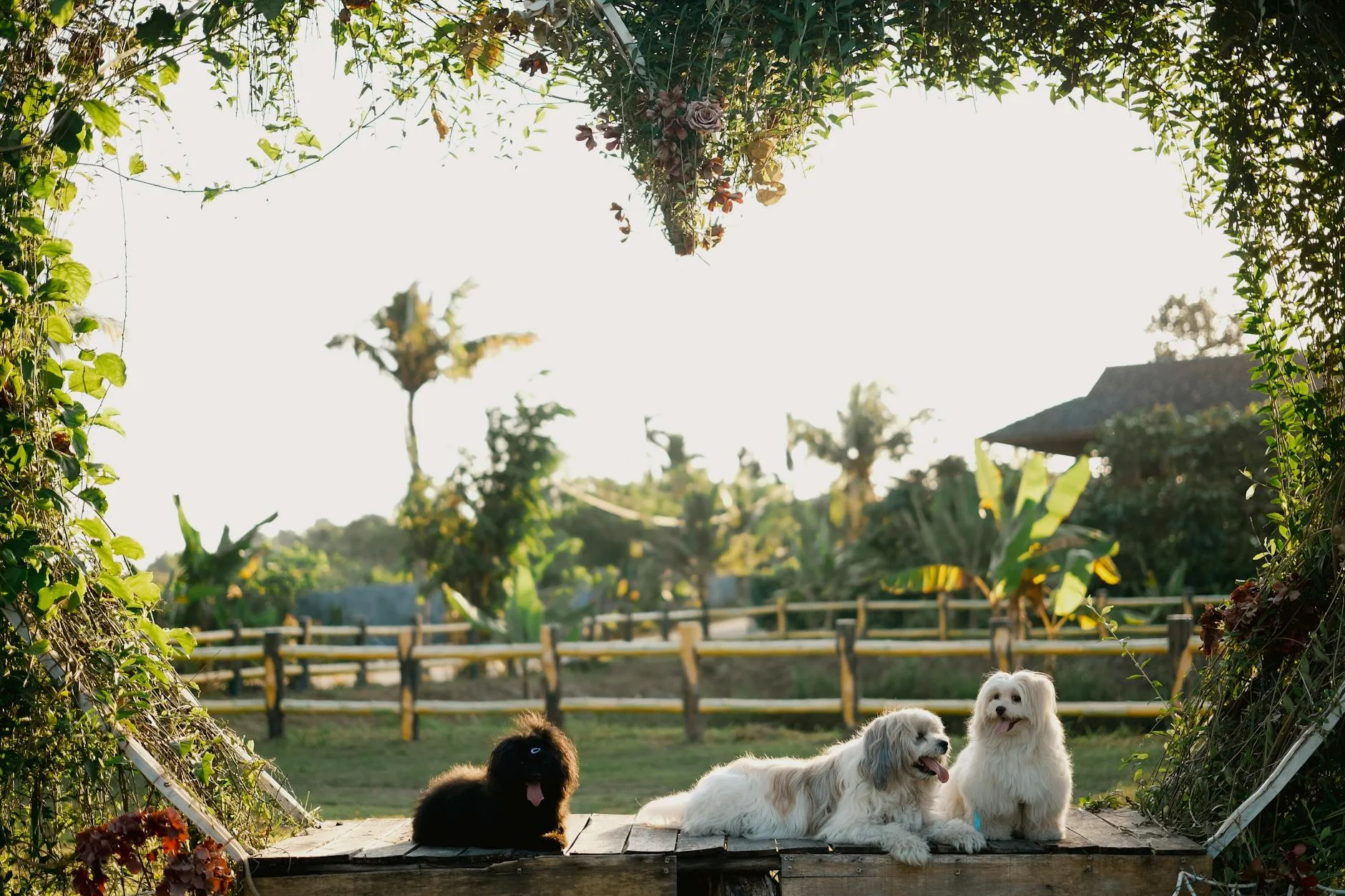 Best Backyard Pet Memorial Decor: 9 Picks in 2026