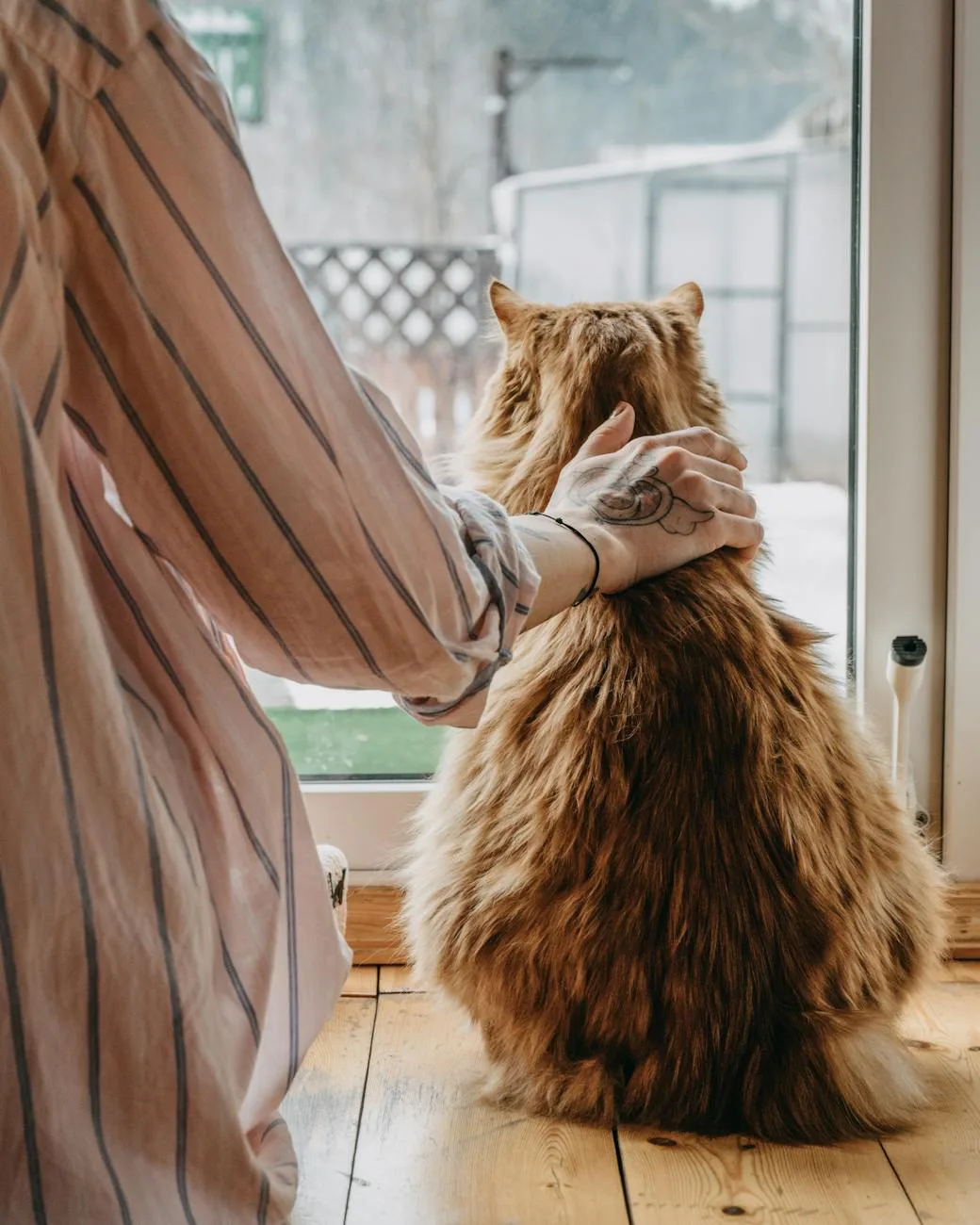 Best Cat Urns: 9 Picks in 2026