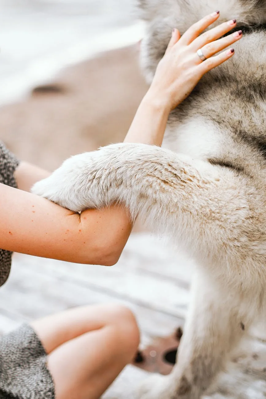 Best Cremation Rings for Pet Ashes: 9 Picks in 2026