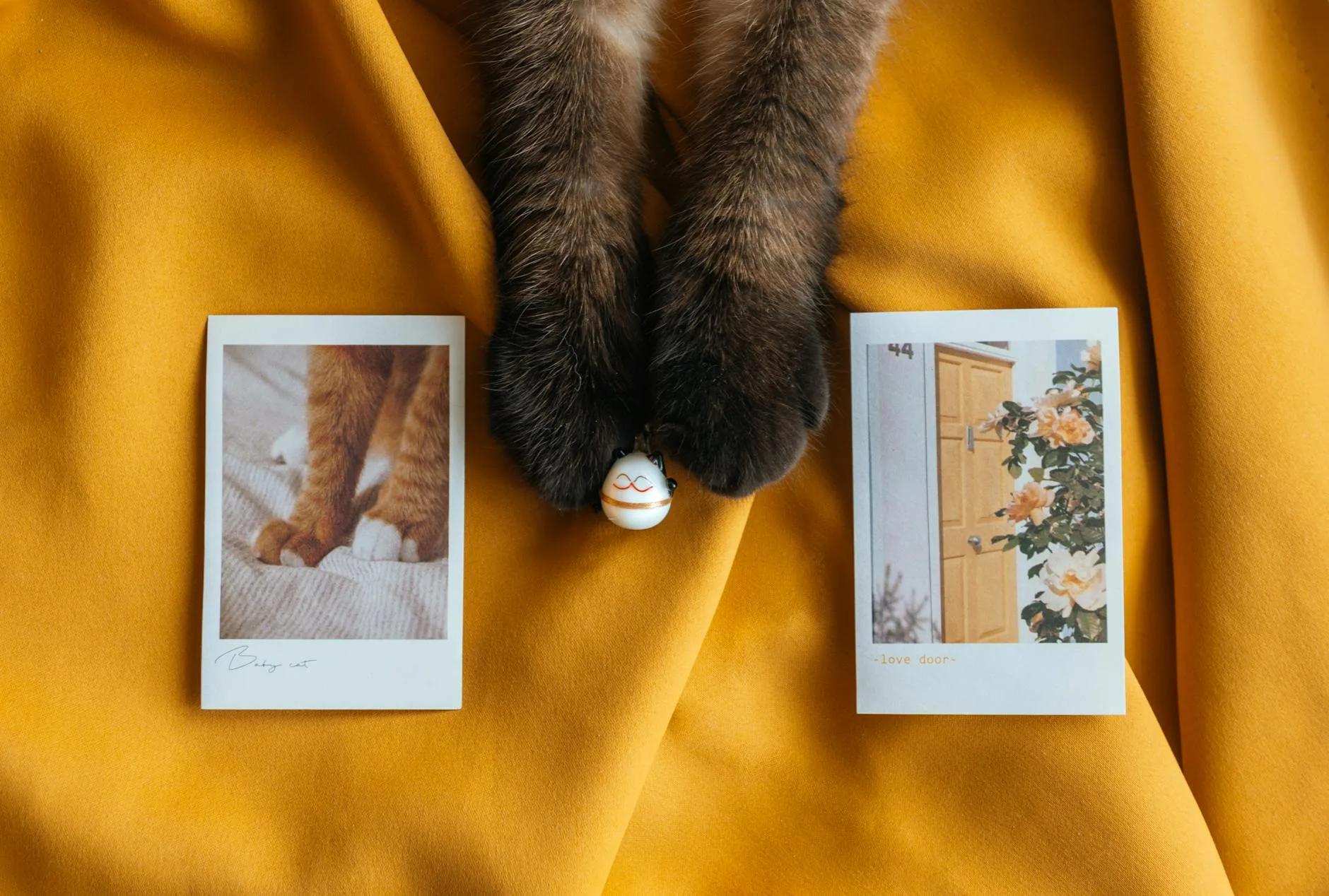 Best Memorial Gifts for Cat Loss: 9 Picks in 2026