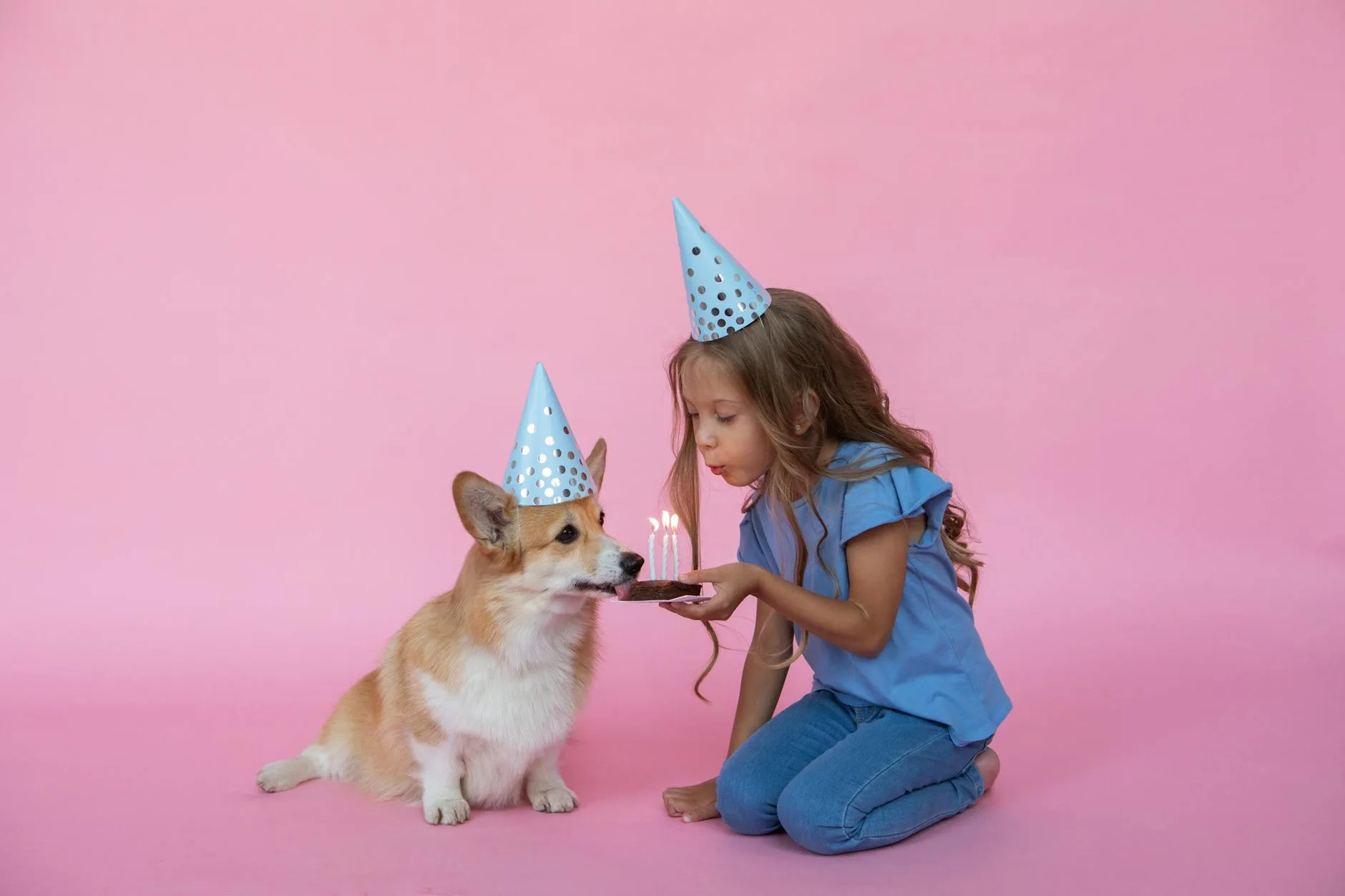 Best Pet Memorial Candles: 9 Picks in 2026