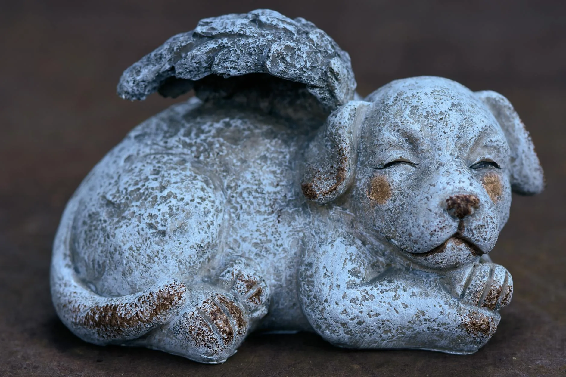 Best Pet Memorial Stones: 9 Picks in 2026 featured image