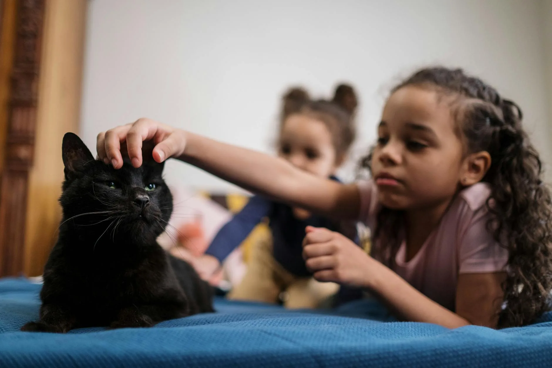 When a Pet Dies: How to Help Children Cope at Every Age