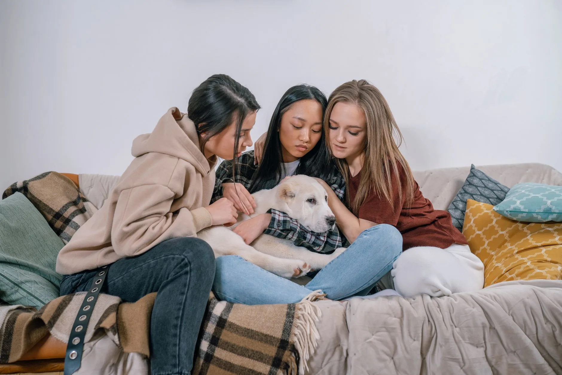 Three friends console a grieving dog on a couch, offering emotional support while coping with dog loss.