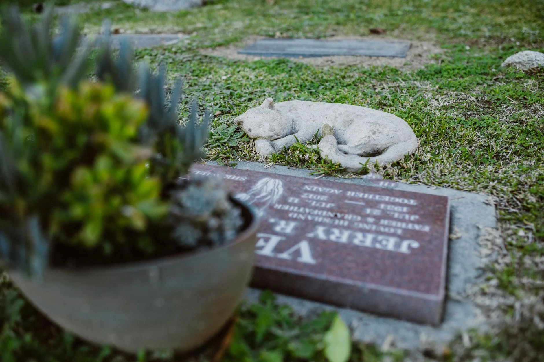 Stone cat memorial curled on grass beside a grave marker, a quiet symbol of grief after losing a cat.