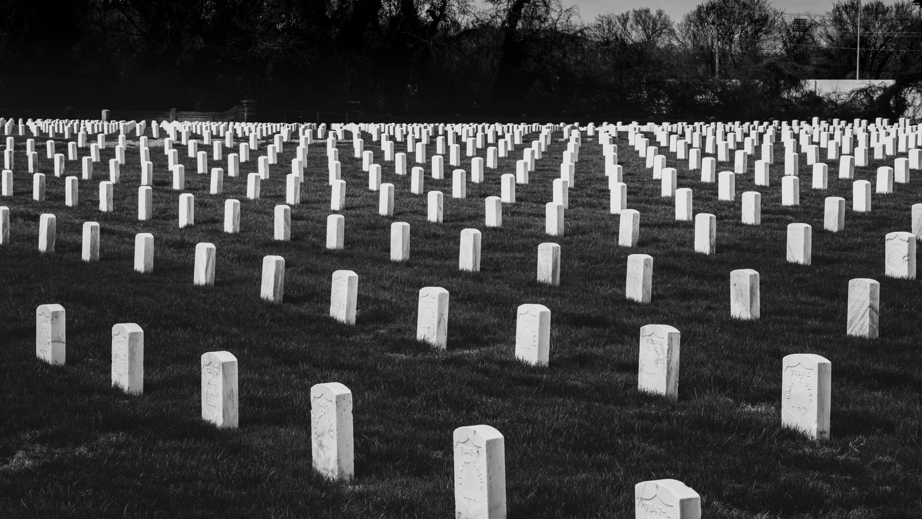 Rows of white gravestones in a cemetery evoking memorials to honor a beloved pet after death