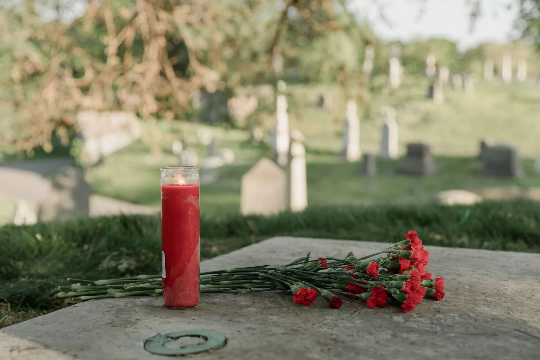 Red memorial candle and carnations on a grave in a cemetery, a quiet pet loss remembrance.