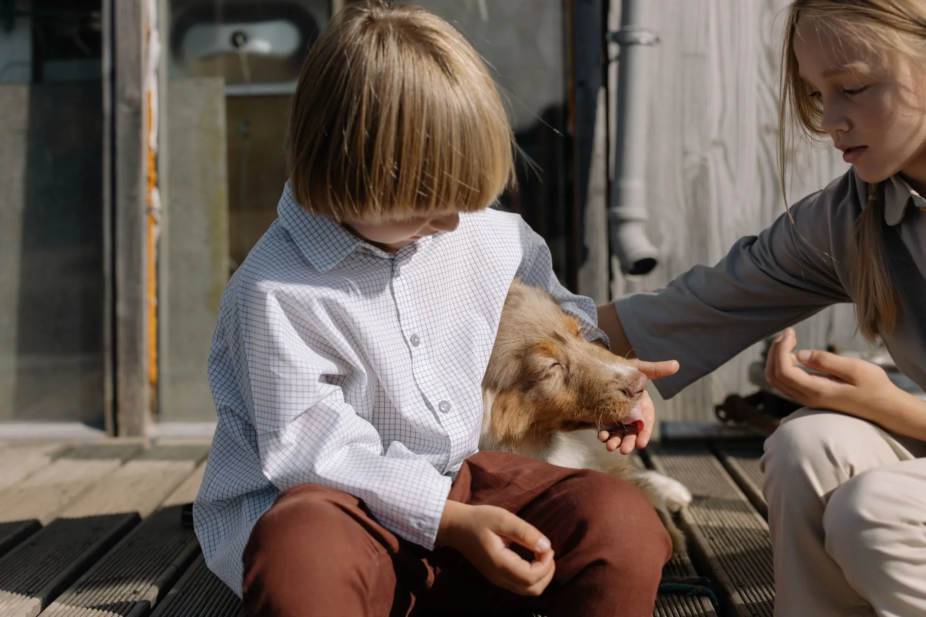Two children comforting a calm dog on a porch, reflecting parents' decision about children attending pet euthanasia