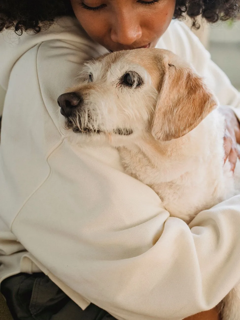 Owner lovingly cradling an elderly dog, offering comfort as the pet nears the end of life