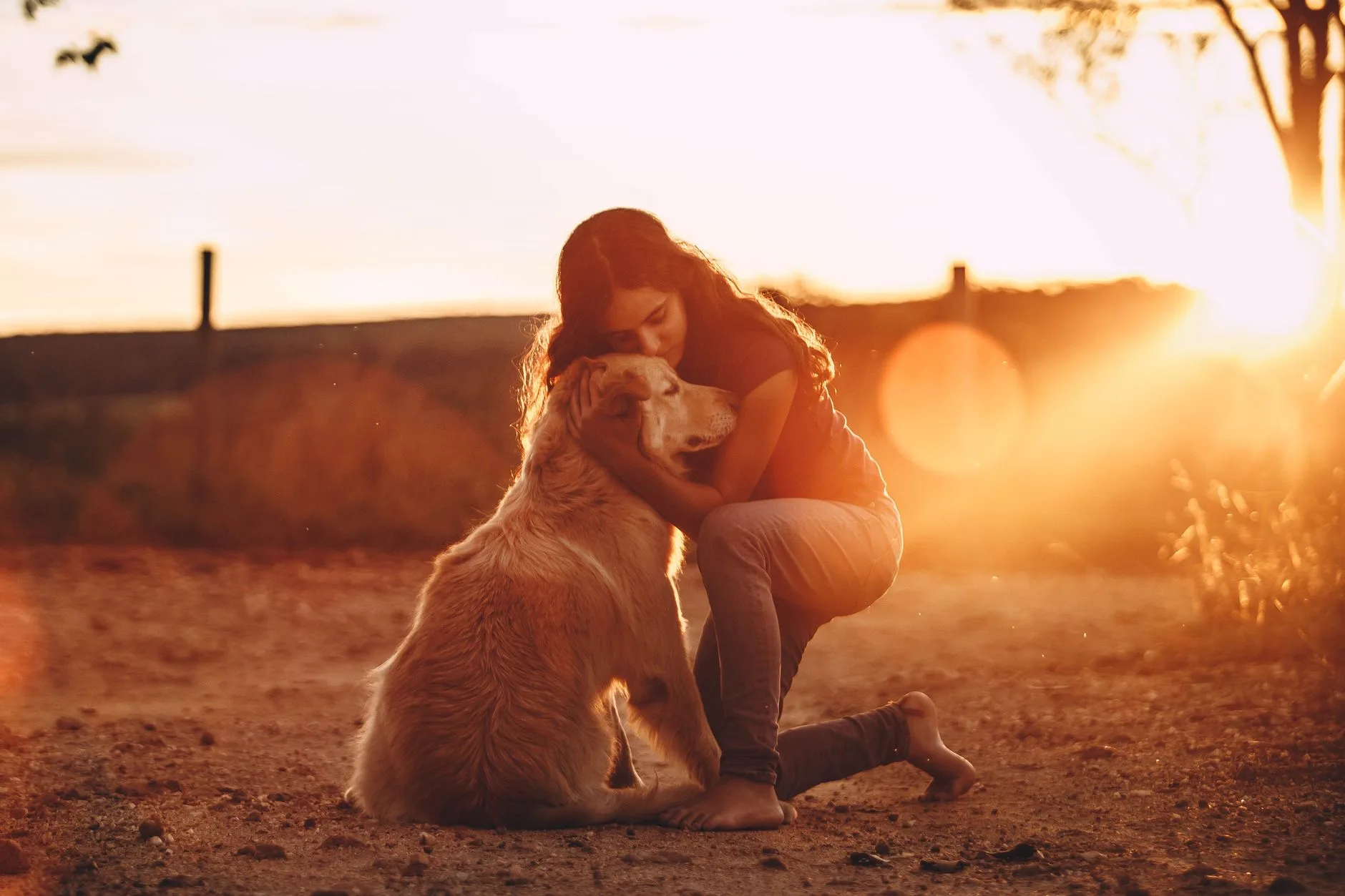 Young girl kneeling and hugging her golden retriever in warm sunset light, showing deep bond and grief over losing a pet.